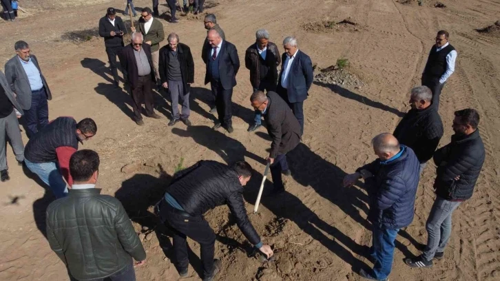 Erzincan TSO’ya ait hatıra ormanına fidan dikildi
