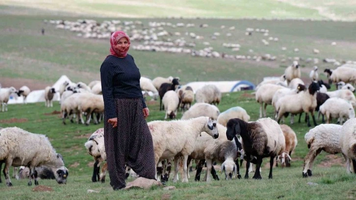 Erzurum’da 3 bin rakımda 3 yüz çadır kurulu