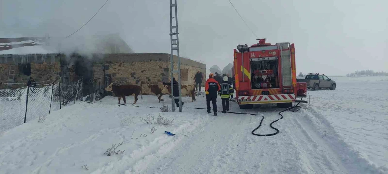 Erzurum’da ahır yangını
