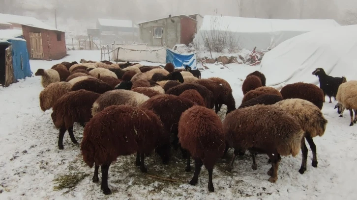 Erzurum’da kar yüzünü gösterdi
