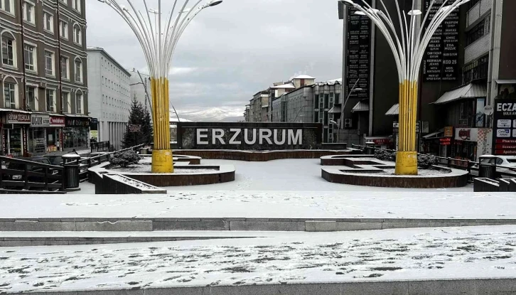 Erzurum güne karla uyandı
