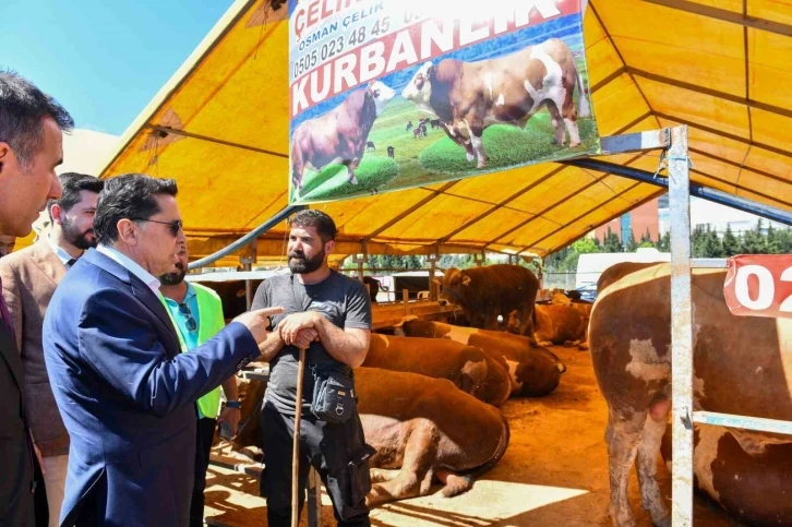 Esenyurt Belediye Başkanı Özer kurban pazarını ziyaret etti
