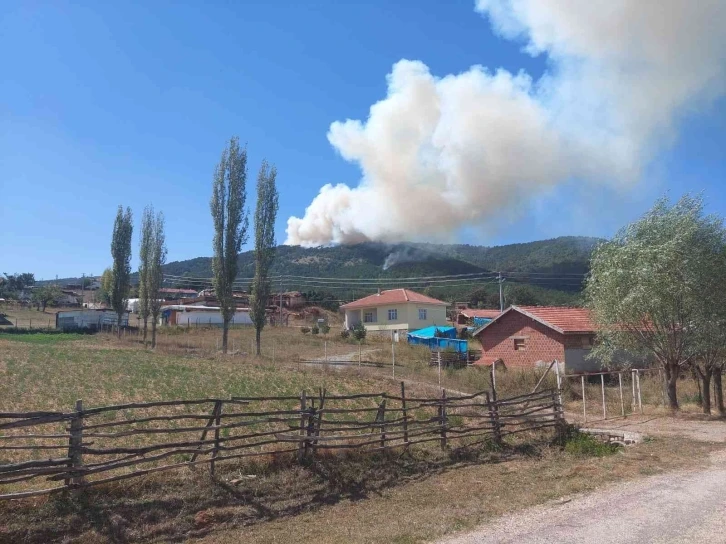 Eskişehir’de orman yangını
