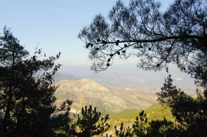 Eskişehir trekking grubu Samrı’dan Çaltı’ya doğru yürüyüş yaptı
