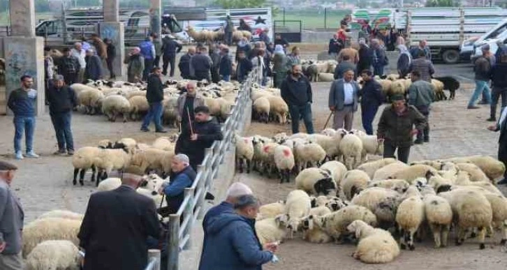 Et fiyatında düşüş bekleniyor