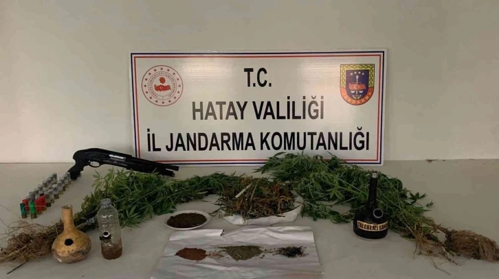 Evinde kubar esrar yetiştiren şüpheli gözaltına alındı
