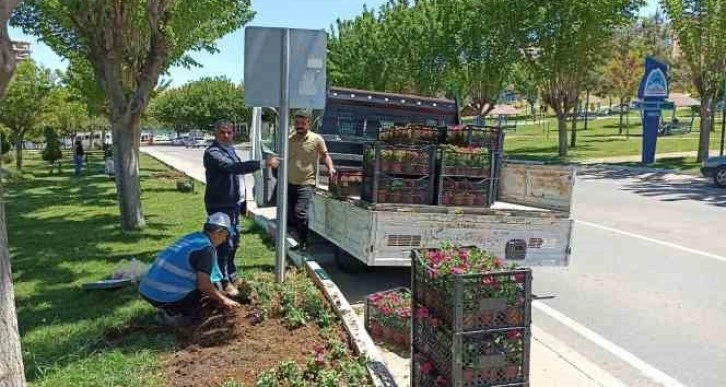 Eyyübiye parkları çiçeklerle renkleniyor