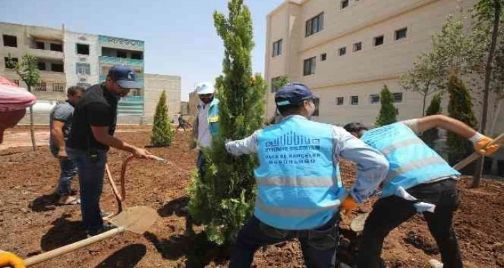 Eyyübiye’de yeşillendirme seferberliği devam ediyor