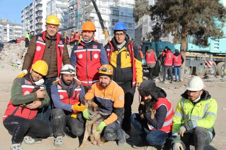 Ezan okunurken uluyan köpek ve yavruları, sesi fark eden görevlilerce enkazdan kurtarıldı
