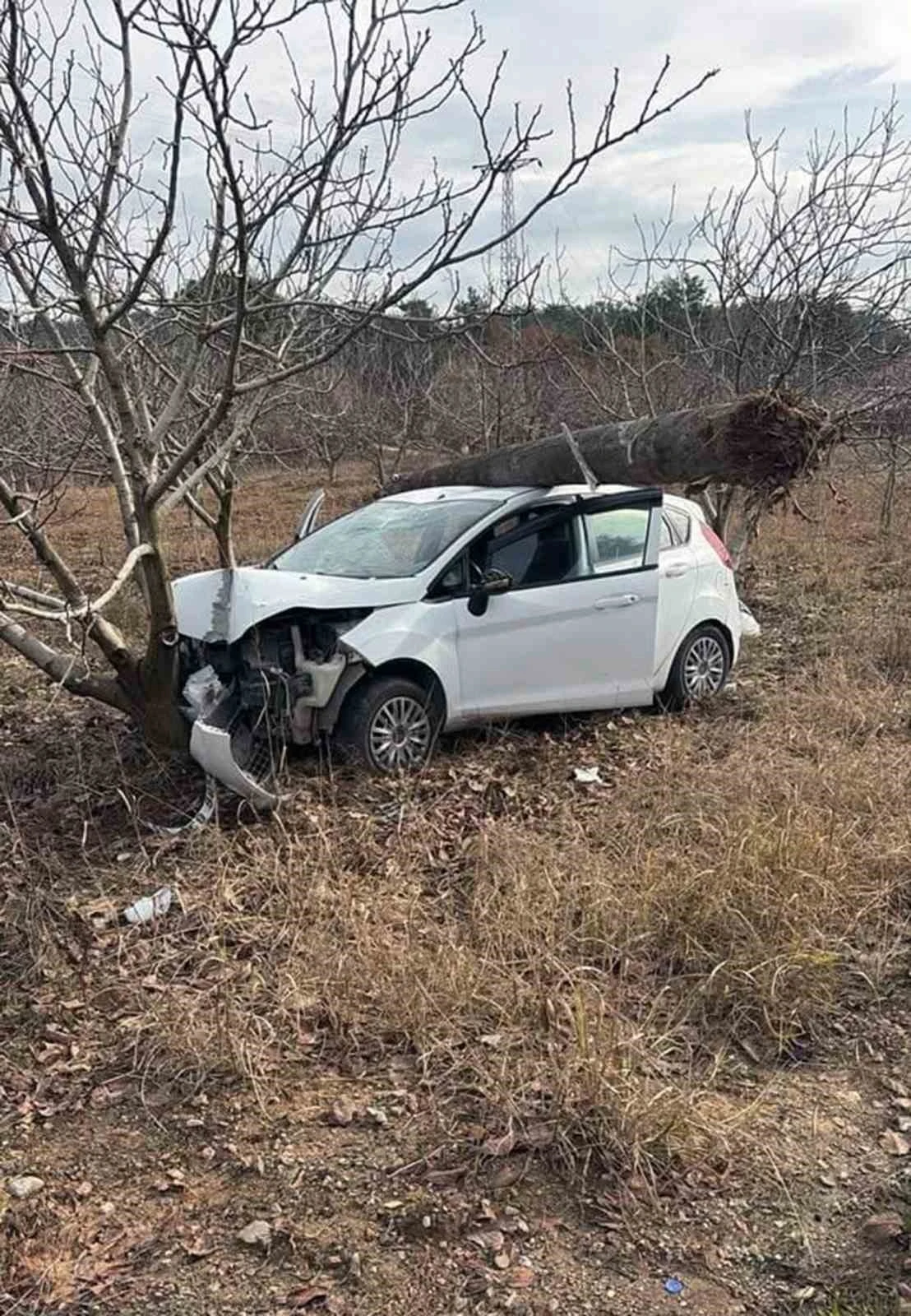 Fadıl Mahallesi muhtarı kaza yaptı
