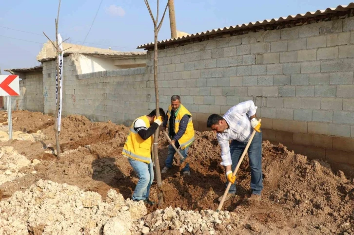 Farklı bölgelerde ağaçlandırma çalışması yapılıyor
