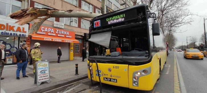 Fatih’te facianın eşiğinden dönüldü: İçinde yolcuların bulunduğu İETT otobüsü ağaca çarptı
