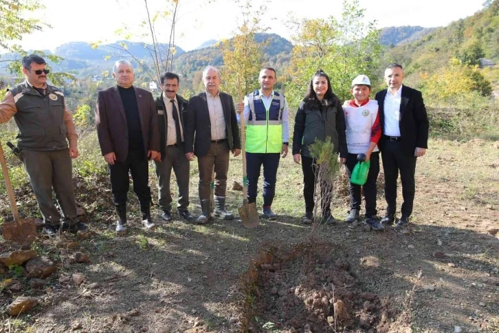 Fatsa’da fidanlar toprakla buluştu
