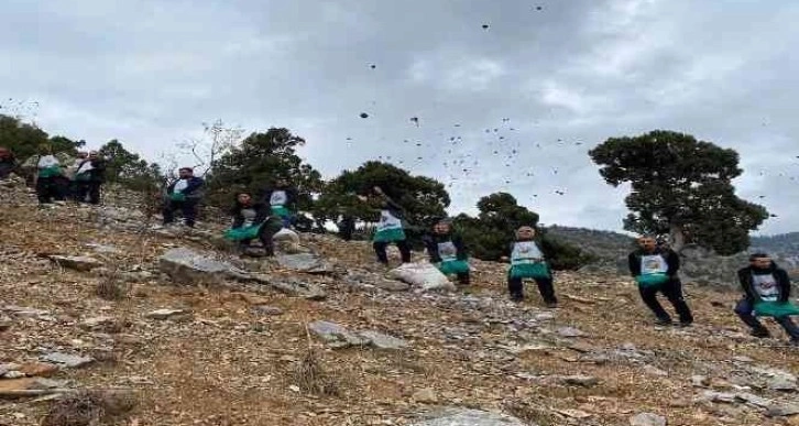 Feke’de sedir tohumları toprakla buluşuyor