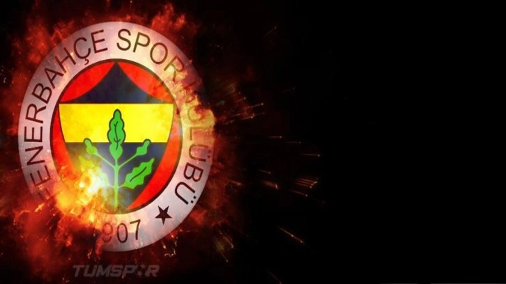 Fenerbahçe, AİHM açıklaması! 