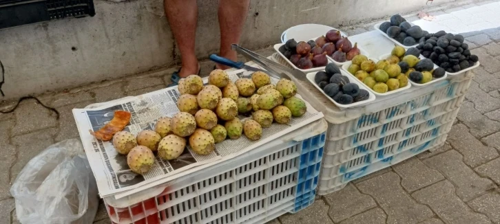 Fethiye’de dikenli incir tanesi 10 liradan satılıyor
