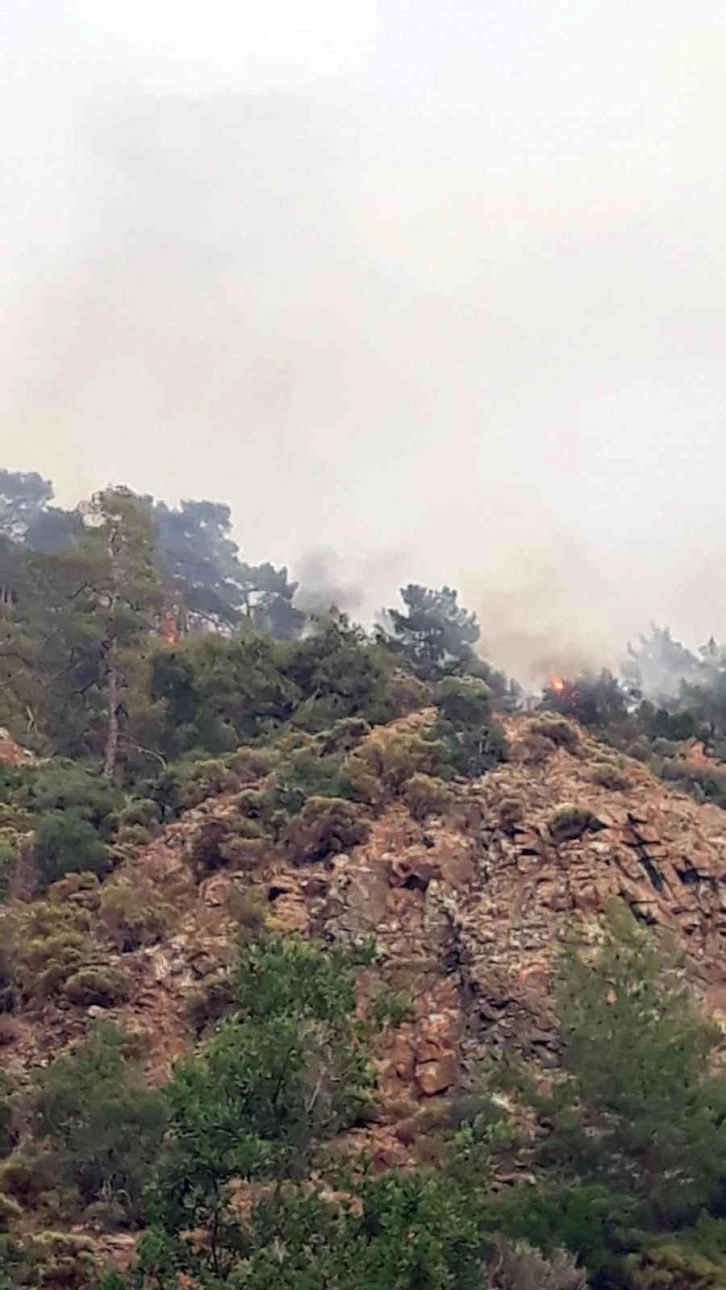 Fethiye’de orman yangını
