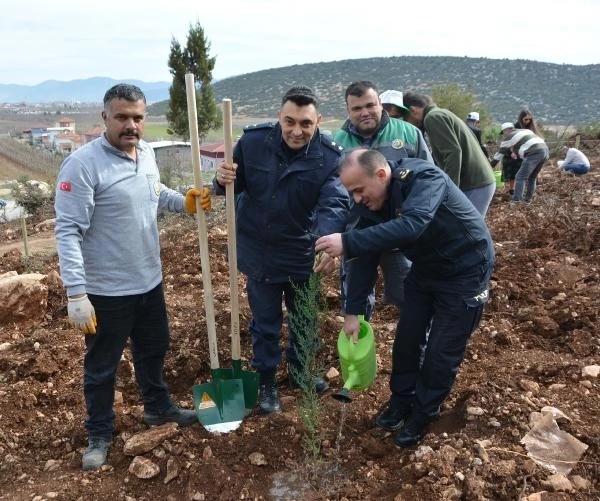 Fidanlar toprakla buluştu