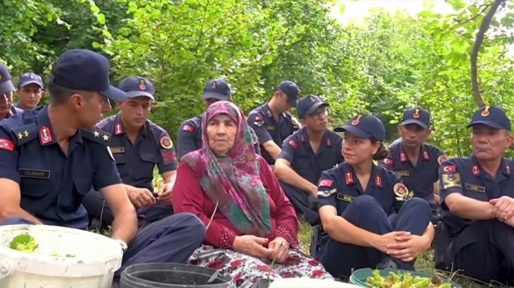 Fındık bahçesinde duygusal anlar. Şehit annesinin fındıklarını 20 kişilik jandarma ekibi topladı