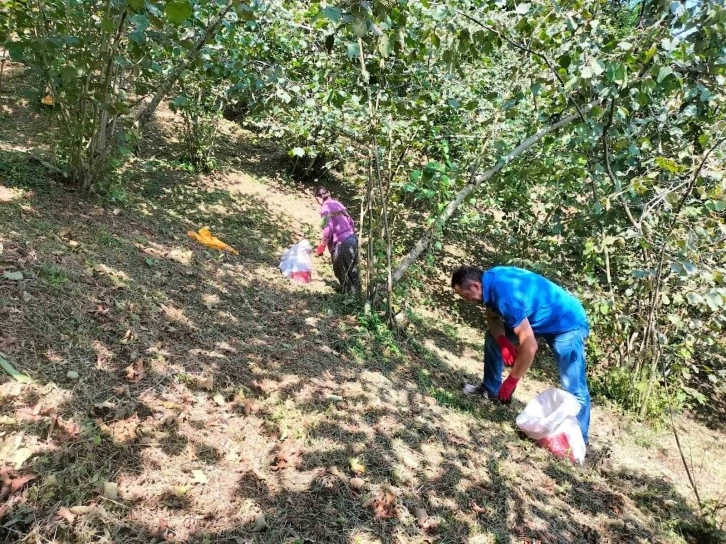 Fındık üreticilerinin sıcakla imtihanı
