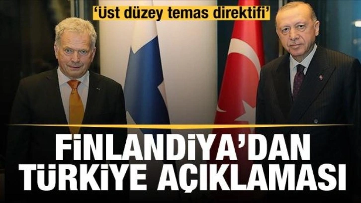 Finlandiya Cumhurbaşkanı Sauli Niinistö'den Türkiye açıklaması