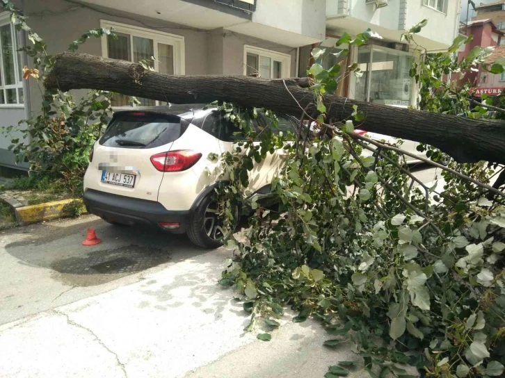 Fırtınanın devirdiği ağaç, park halindeki otomobilin üzerine düştü
