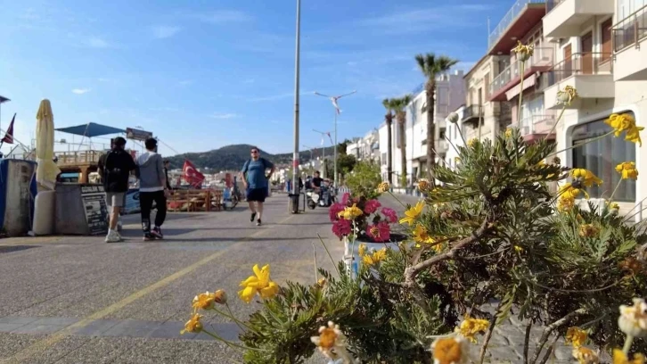 Foça, yaz sezonuna hazır
