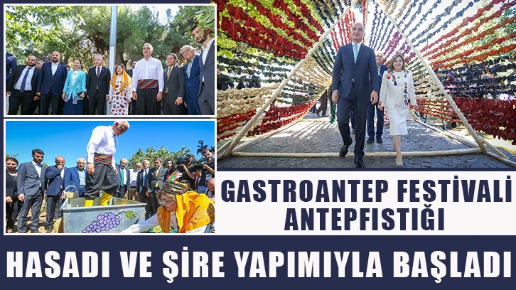 Gastroantep festivali, antepfıstığı hasadı ve şire yapımıyla başladı