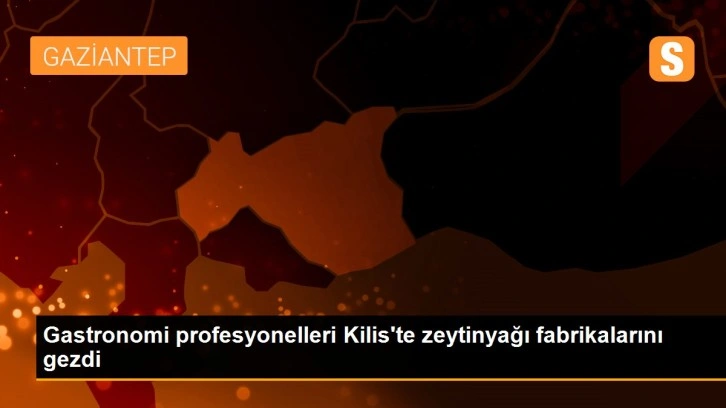 Gastronomi profesyonelleri Kilis'te zeytinyağı fabrikalarını gezdi