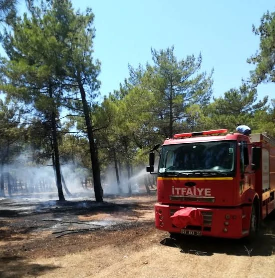 Gaziantep Burç ormanlarında yine yangın çıktı-