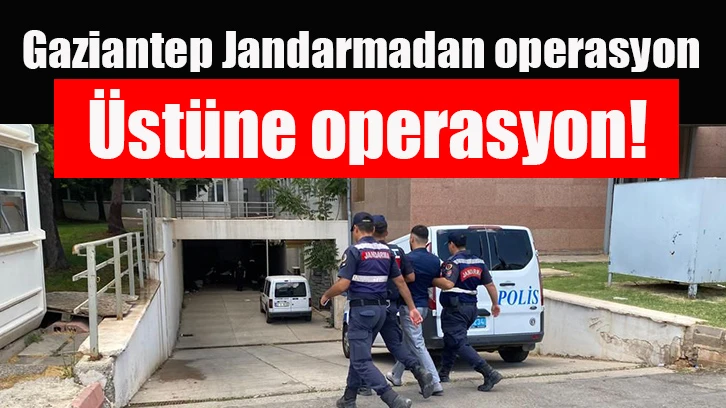 Gaziantep Jandarmadan operasyon üstüne operasyon!