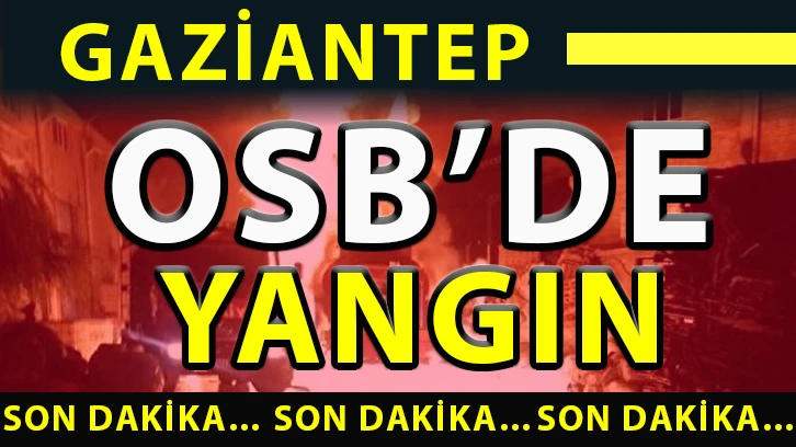 Gaziantep OSB’de yangın.