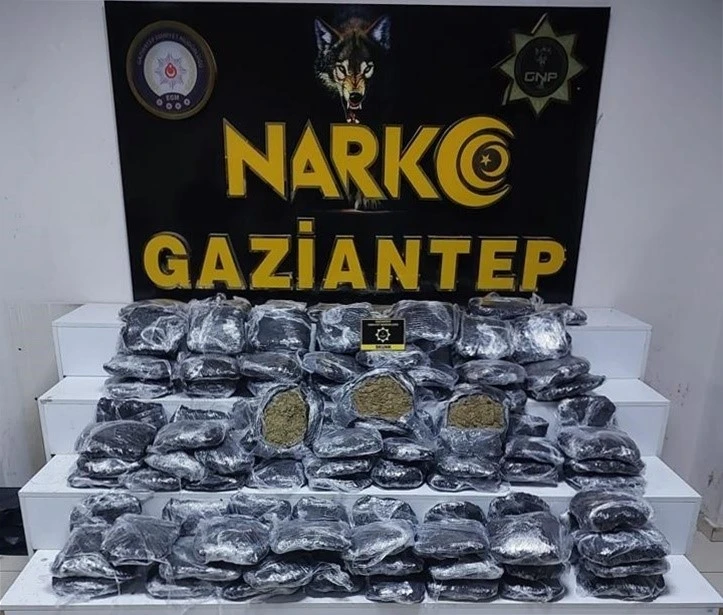 Gaziantep’te 51 kilo skunk ele geçirildi