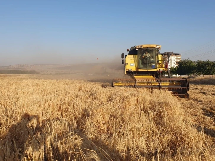 Gaziantep’te arpa ve buğday hasadı başladı