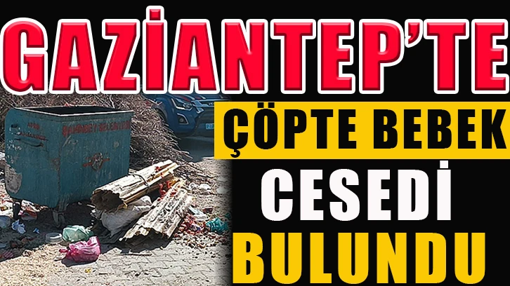 Gaziantep'te çöpte bebek cesedi bulundu