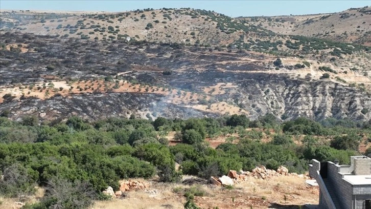 Gaziantep'te fıstık ve zeytin bahçelerinde çıkan yangın kontrol altına alındı