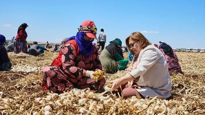 Gaziantep'te 'Haydi Tarladan Sofraya'