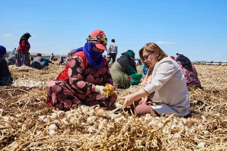 Gaziantep’te "Haydi Tarladan Sofraya" projesi ile çiftçi ile tüketici buluşturulacak