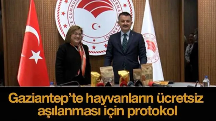 Gaziantep'te hayvanların ücretsiz aşılanması için protokol