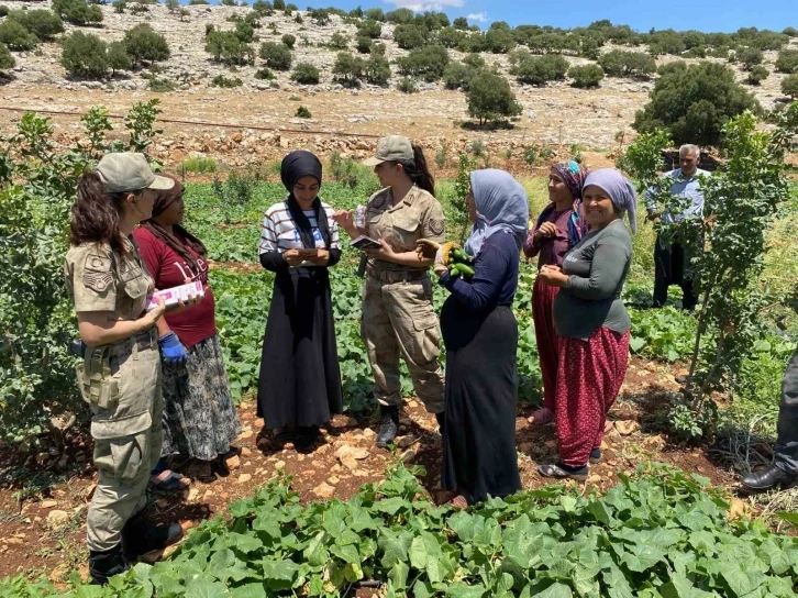 Gaziantep’te jandarma KADES uygulamasını tanıttı
