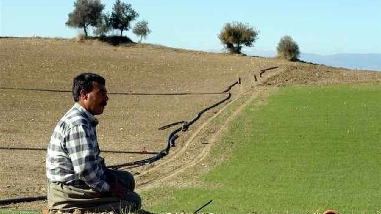 Gaziantep’te kuraklık çiftçiyi vurdu