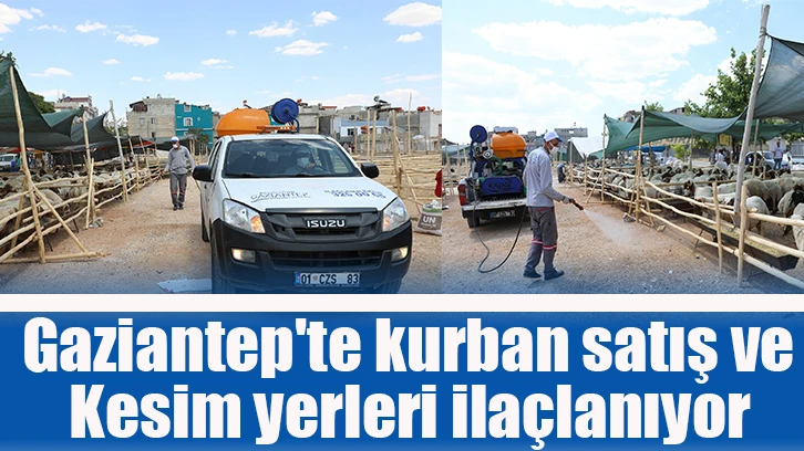 Gaziantep'te kurban satış ve kesim yerleri ilaçlanıyor