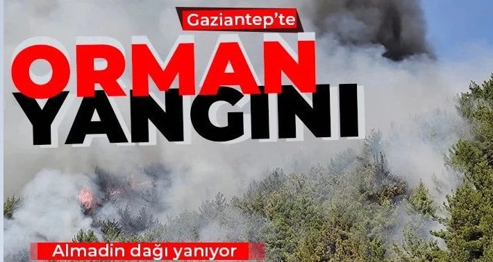 Gaziantep’te orman yangını  