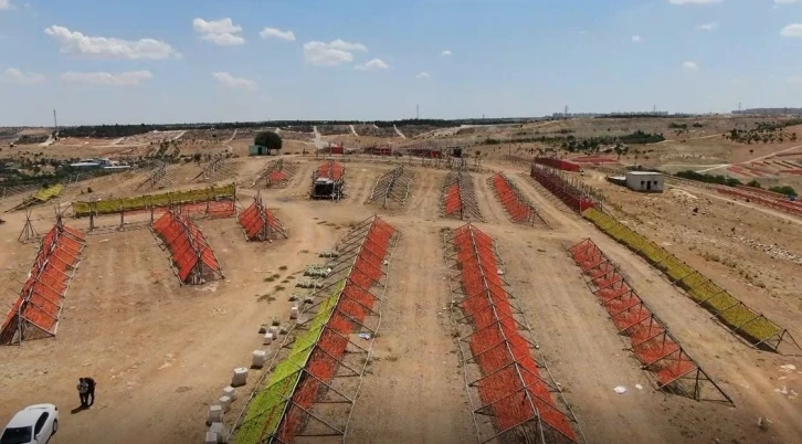 Gaziantep’te sezonun ilk kurutmalıkları güneşe bırakıldı
