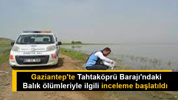 Gaziantep'te Tahtaköprü Barajı'ndaki balık ölümleriyle ilgili inceleme başlatıldı