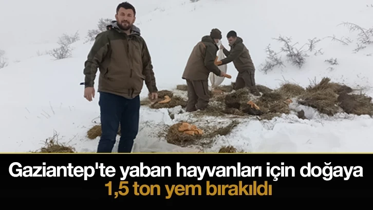 Gaziantep'te yaban hayvanları için doğaya 1,5 ton yem bırakıldı