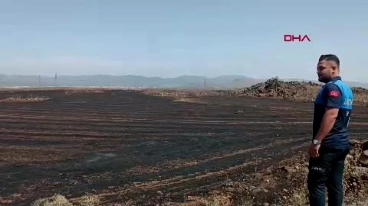Gaziantep'teki anız yangınında 15 bin dönüm tarım alanı zarar gördü