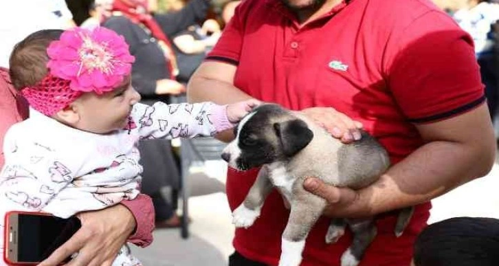 Gaziantep uygulaması ile puanını tamamlayanlara mama verildi