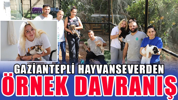 Gaziantepli hayvanseverden örnek davranış