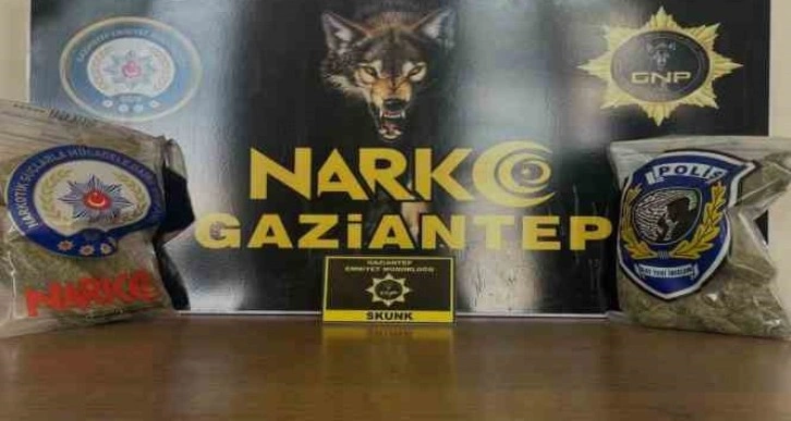 Gaziantep’te 2 kilo skunk ele geçirildi